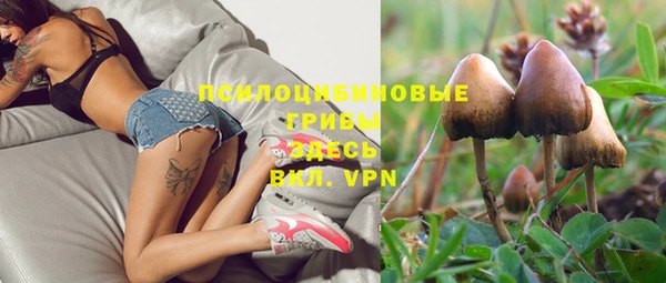 не бодяженный Абдулино
